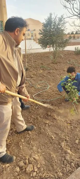 کاشت نهال در ناحیه مقاومت بسیج میبد