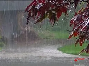 بارش  ۲۵.۱ میلی متر باران در &laquo;رومشکان&raquo;