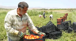 بنیاد برکت با حمایت از بنگاه&zwnj;های تولیدی190 هزار شغل ایجاد کرده است