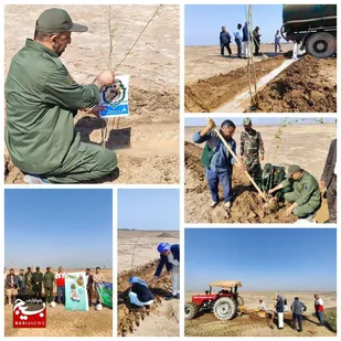 کاشت ٧۵٠ اصله نهال در روز درختکاری در شهرستان شادگان