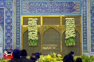 اهدای هشت هزار شاخه گل نرگس بهبهان به حرم مطهر رضوی