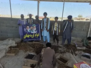 خدمت جهادی در نخلستان&zwnj;های ریگ&zwnj;ملک