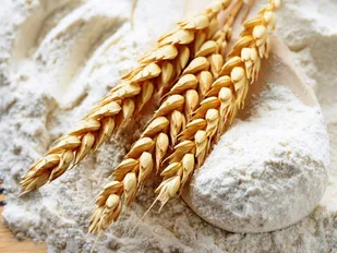 تامین گندم و آرد ایلام بدون مشکل انجام می&zwnj;شود