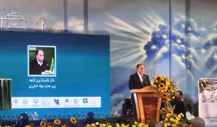 تولید زیتون کشور امسال از ۱۵۰ هزار تن فراتر می&zwnj;رود/صدور مجوز صادرات روغن زیتون برای حمایت از باغداران