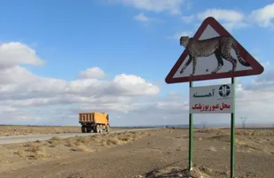 نصب ۲۸۴ پایه روشنایی در طول ۱۰ کیلومتر از محدوده تردد یوزپلنگ آسیایی در میامی