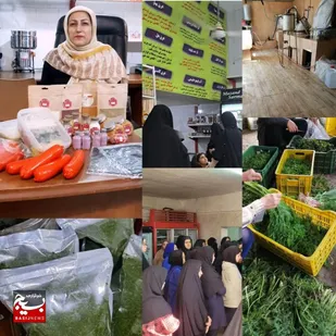 بانویی که توانستن را معنا کرد؛ &laquo;الهام یونس&zwnj;تبار&raquo; و شکل&zwnj;گیری یک کسب&zwnj;وکار پایدار با رویکرد اجتماعی