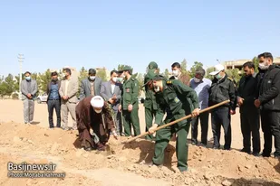 کاشت 1500 اصله نهال زیتون بمناسبت هفته درختکاری