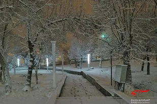 بارش برف در جای جای شهرستان ملایر