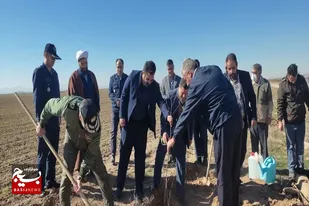 آغاز سراسری پویش کاشت یک میلیارد درخت در شهرستان کبودراهنگ