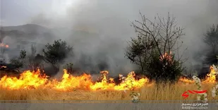 عاملان آتش سوزی منطقه حفاظت شده خائیز دستگیر شدند