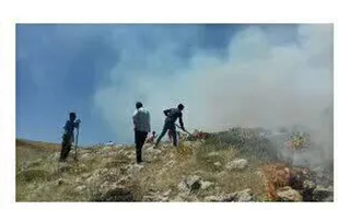 مهار آتش سوزی در کوههای شهر اردکان