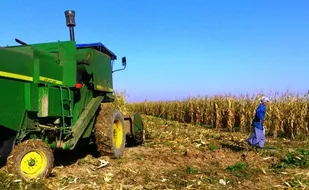 جنگ نرم دشمن علیه امنیت کشور و جهت صدمه زدن به زیرساخت&zwnj;های کشاورزی