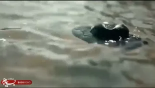 سیل اورشلیم+ویدیو