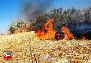تشکیل پرونده قضائی برای متخلفان زیست محیطی در پارس آباد