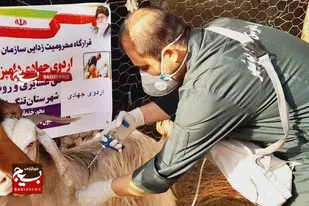 اردوهای جهادی دامپزشکی در روستاهای استان بوشهر برگزار شد