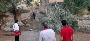 وقوع سیل باعث آب افتادگی ۲۰ منزل مسکونی در دو روستای بردسکن شد
