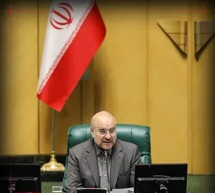 مجلس آماده اجرای داوطلبانه &laquo;شفافیت&raquo;