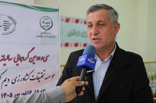 تولید گندم آذربایجان&zwnj;شرقی از ۶۵۰ هزار تن عبور کرد