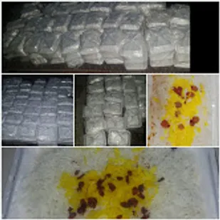 پخت ۵۰۰پرس غذای گرم توسط گروه جهادی حوزه خیبر ناحیه شادگان