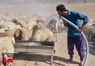 آبرسانی به عشایر با تلاش گروه&zwnj;های جهادی