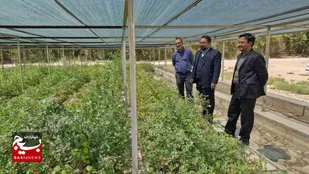 بازدید دادستان شاهرود از نهالستان؛ گامی در جهت تحقق طرح کاشت یک میلیارد درخت