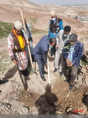 کاشت هزار نهال به یاد ده هزار شهید جامعه عشایر کشور