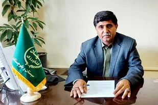 برداشت کنجد از قطب تولید کنجد در سیستان و بلوچستان