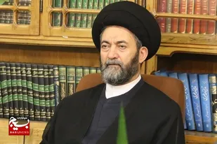 آیت&zwnj;الله عاملی: ایران ایرتور رکورددار بی&zwnj;احترامی به مسافران است