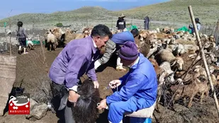 جهادگری از ترویج کشاورزی تا واکسینه دام
