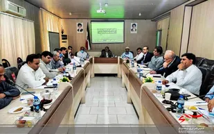در سال زراعی جاری ١۴٠ هزار هکتار از اراضی کشاورزی سیستان و بلوچستان به زیرکشت محصولات زراعی میرود