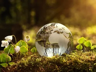تخصیص منابع در ایران برمبنای اقتصاد سیاسی است نه توانمندی&zwnj;ها و پتانسیل&zwnj;های مناطق