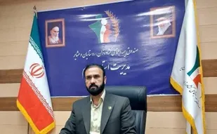 زنان خانه&zwnj;دار روستایی و عشایری ایلام از مزایای بیمه اجتماعی رایگان بهره مند می شوند