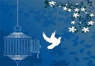 ۴۵ زندانی غیرعمد و محکوم مالی در آذربایجان&zwnj;شرقی آزاد شدند