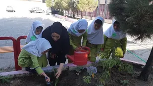 اهتمام برای مهارت آموزی دانش آموزان در مدارس استان