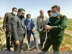 کاشت نهال به همت بسیج سازندگی، بنیاد علوی و قرارگاه شهیدناصری در زیرکوه