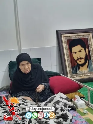 تجلیل از خانواده شهدا و پیشکسوتان ورزش دشتستان در هفته تربیت بدنی