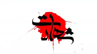 شهادت ۳ بسیجی توسط آشوبگران مسلح در گچساران