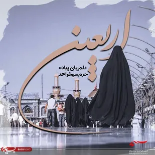 ارائه خدمات متعدد به زائران خارجی اربعین در موکب ماهان توسط بسیجیان