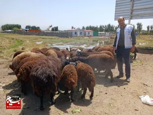 برگزاری اردوی جهادی دامپزشکی در شهرستان&zwnj;های ساوجبلاغ و طالقان