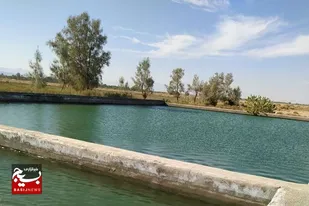 احداث ۲باب استخر دو منظوره ذخیره آب و پرورش ماهی در سیب و سوران