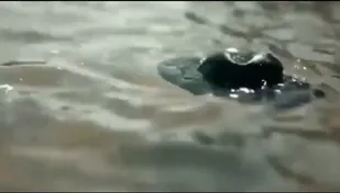 سیل اورشلیم+ویدیو