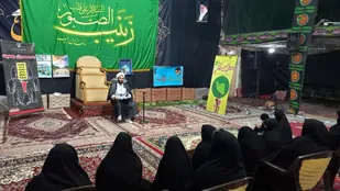 همایش خواهران علوی با موضوع بهداشت خانه و خانواده برگزار شد