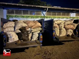 کشف ۷۵۰ کیلوگرم خاک پیت قاچاق در اردبیل/ متخلف روانه زندان شد