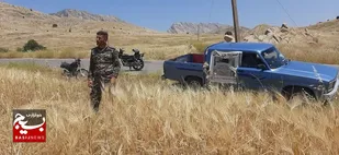 جهادگران به برداشت محصولات زراعی کشاورزان عشایر کمک کردند