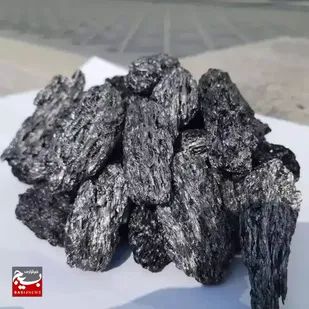 برنامه ریزی برای توسعه کک سوزنی در خوزستان