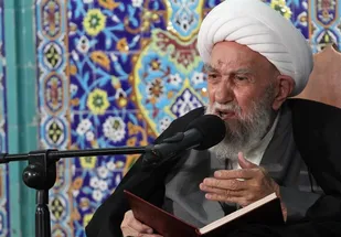 ببینید| دعوت آیت الله ناصری از مردم برای حضور در انتخابات