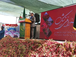 نتایج جشنواره زرشک رصد شود