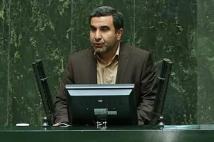واردات انواع دانه های روغنی در برابر حمایت از تولید محلی