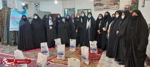 از پیاده روی تا مسابقات دارت توسط خواهران بسیجی شاهرود+ تصاویر
