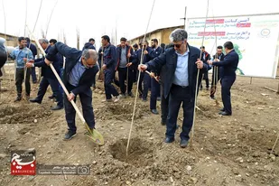آیین کاشت ۱۰۰۰ اصله نهال در نیروگاه برق شهید مفتح همدان